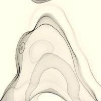 夫妻宫和婚姻宫哪个重要 八字夫妻宫真诀