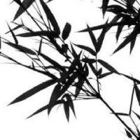 手机号码尾数111 手号码中有豹子号吉凶