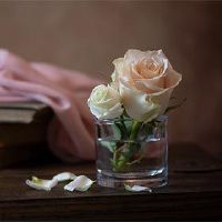 2022年5月11日在老虎年度签订合同吗？