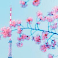 2022年8月属狗人最佳出行吉日 出游上等吉日