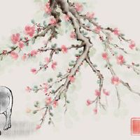 2022黄道带黄道带黄道带黄道十二生肖黄道十二礁