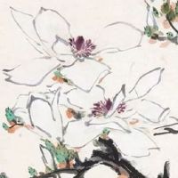 客厅最好养的大型绿植 幸福树净化空气