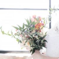 女方送亲代表讲话三句话 女方证婚人应表达感激和祝福