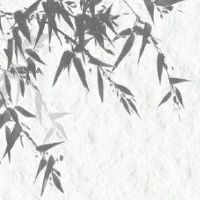 手机号码挑选技巧 正财兴旺的吉祥