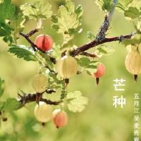 我可以在2022年搬家新家吗？移动的注意力是什么？