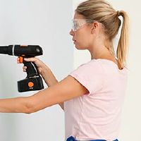 月球2022年，老虎的第三天，是适合动画米饭吗？