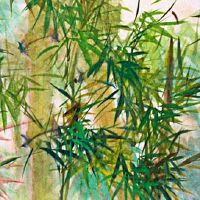 车牌119好吗 吉利组合提高车主生活品质