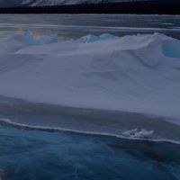 粉红色钱包的陈述是什么？