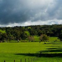 钱包你有什么说法吗？