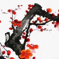 l在车牌号念什么 吉利的车牌数字和字母组合