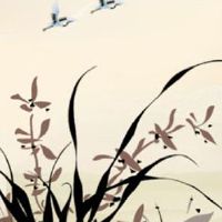 4字车牌寓意 数字因素有利帮扶车主财富