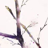 80年属猴男一生的财运 吉星入命财富顺遂如意