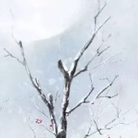 1980年属猴会离婚吗 生肖猴会有第二段婚姻吗