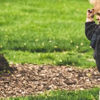 杨姓男孩取名2022年虎年