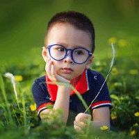 虎年男娃娃取名