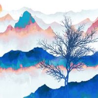 属虎的佩戴什么金饰好 女虎戴金项链贵气满满