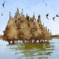 男人的妻子分离可以解决妻子的八个特征