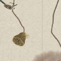 手机号码110结尾的 吉利独特数组盘点