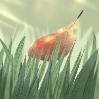 在2022年，对运输上的夏季运输的了解足够了。