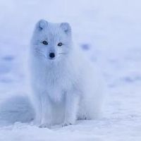 女孩出生于10月10日，2021年，空，良好的名字推荐