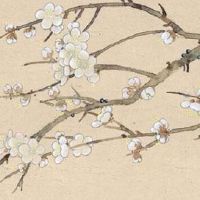 车牌有7好吗 尾号是7的车牌号是不是不好