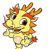 2000年，龙男子2022财年22岁小龙男2022月财富