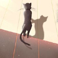 轻微，鳞片，鳞片，微笑