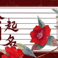 与文化航空公司名称的公司名称