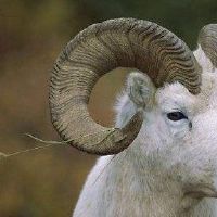 1979年，她截止了2022年的2022年每月43岁。