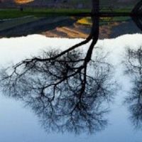 原始日元是什么意思？