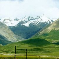 夫妻和妻子天鹅的感受和特色