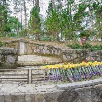 2022年虎年半历5月22日，牺牲不合适？