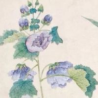 2022年属虎要出大事 属虎人的运势危机