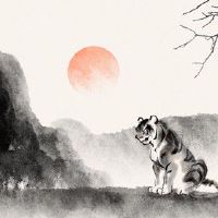 86年属虎后半生婚姻 家底丰厚儿孙满堂