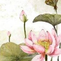 如何选一个好的手机号码 免费挑选旺财靓号