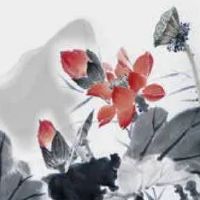 手机号有37是什么数字吗 助运改命手机号码