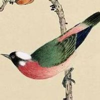 车牌号选中001好不好 车牌数字的选择技巧