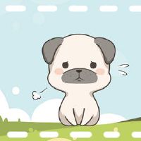 2022年5月生肖狗健康上要注意什么 问题微小懂得保养