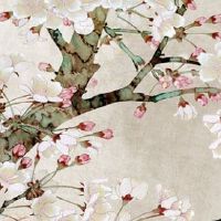 蒜头带身上真能助赌运 风水力量可提升中奖运