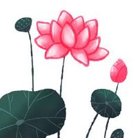 今年本命年怎么破解 穿红衣化解本命年太岁