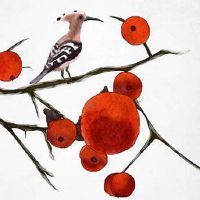 夫妻宫与子女宫相合 夫妻宫暗合兄弟宫相处融洽