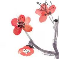 结婚第二天回门可以吗 第二天归宁也宜