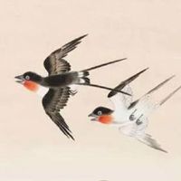 婚礼回门宴主持流程表 九大流程详解