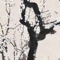 1974年属虎女人中晚年的运势 享清福的后半辈子