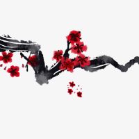 2019年9月16日出生的女孩的名字是什么？