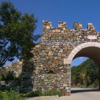 2019年第六次出生的女孩如何获得名称，五个要素是什么？