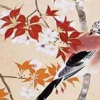 车牌号码0吉利吗 三大吉利车牌数字详解