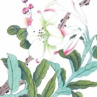 太岁压本命怎么化解 福袋有效解决太岁压本命