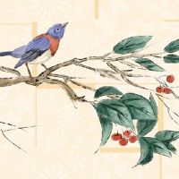 怎样自己在家化解太岁 在家用艾草洗澡有效化灾