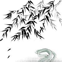 Snake Women 5月2022年全版的完整版三一年